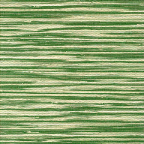 T13340 Pavilion ST. THOMAS faux grasscloth green wallpaper