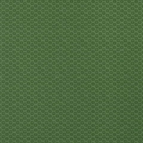 T13368 Pavilion AKARI green wallpaper