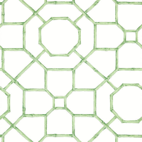 T13674 Arbor Green Wallpaper