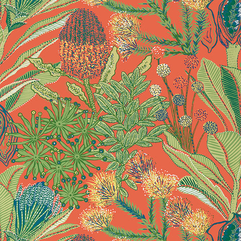 T13906 Protea Coral Wallpaper