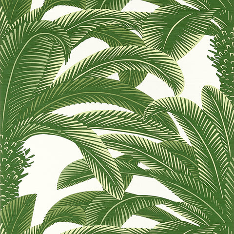T13907 Queen Palm Green Wallpaper