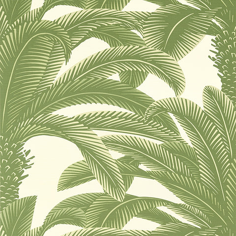 T13911 Queen Palm Sage Wallpaper