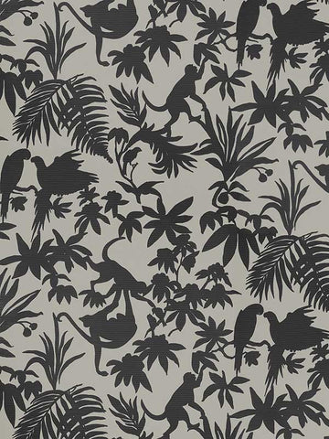 T15861 St Kitts Black and Tan Wallpaper