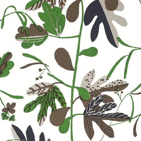 T16208 Matisse Leaf Black and Green Wallpaper