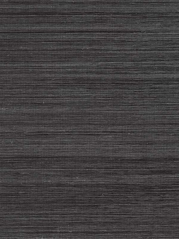 T19670 Windward Sisal Black Wallpaper