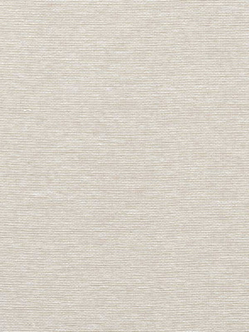 T19696 Edwards Paper Putty Wallpaper