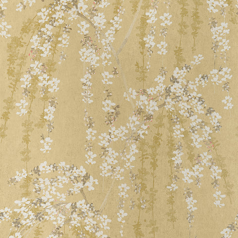T24455 Weeping Blossom Gold Wallpaper