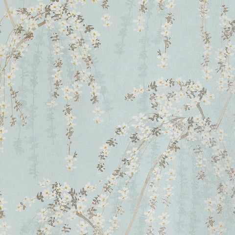 T24456 Weeping Blossom Blue Wallpaper