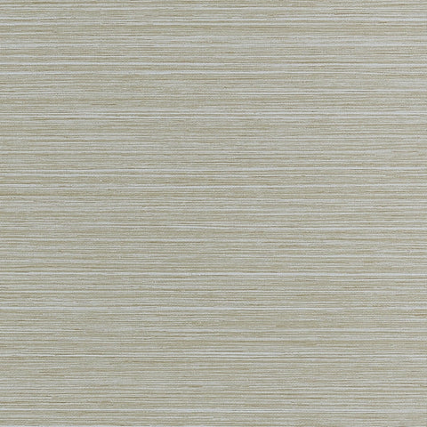 T34068 Tenaya Fog Wallpaper