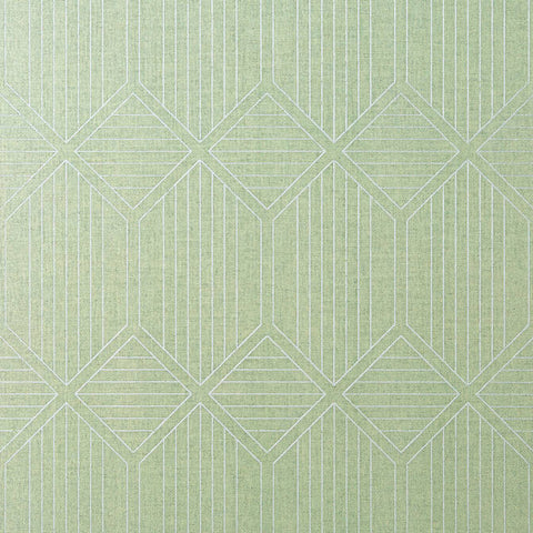T401 Noam Green Wallpaper