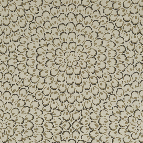 T4035 Aster Charcoal Wallpaper