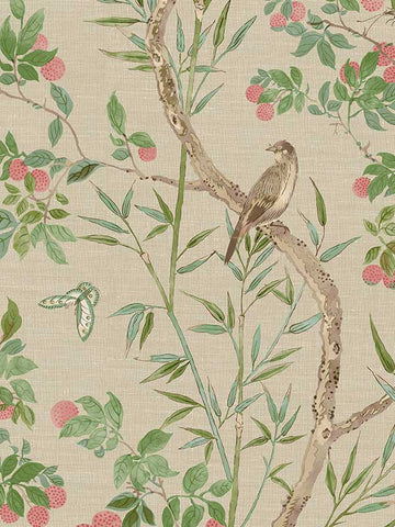 T42009 Claire Coral Green Wallpaper