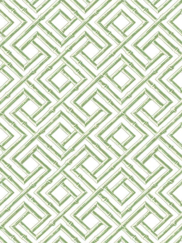 T42049 French Lattice Green Wallpaper