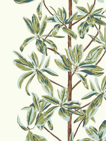 T45034 Mangrove Tree Sage Wallpaper