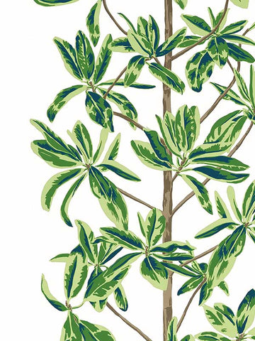 T45035 Mangrove Tree Green and White Wallpaper