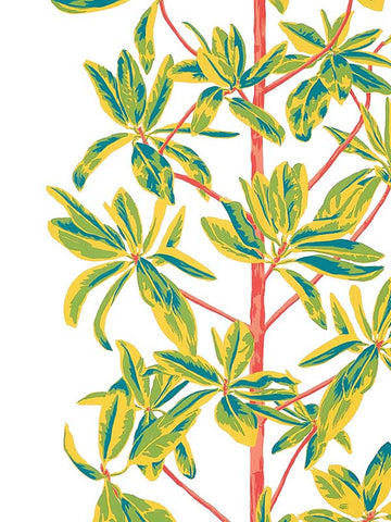 T45036 Mangrove Tree Coral Wallpaper