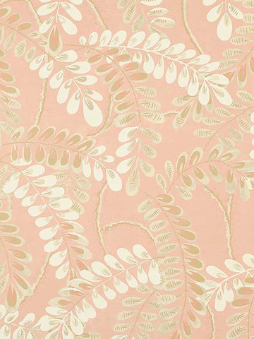 T45041 Augusta Apricot Wallpaper