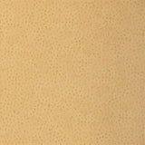 T6829 Natural Ostrich Harvest Wallpaper