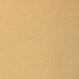 T6829 Natural Ostrich Harvest Wallpaper