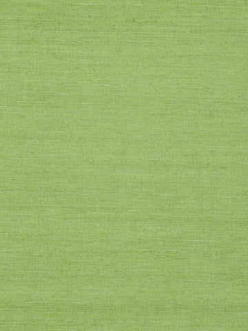 T72832 Shang Extra Fine Sisal Green Wallpaper