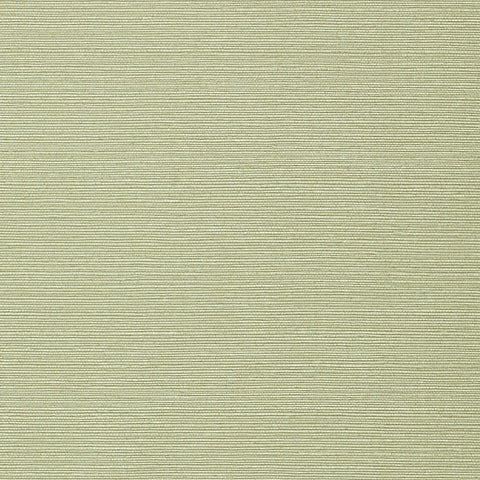T75153 Taluk Sisal Willow Wallpaper 