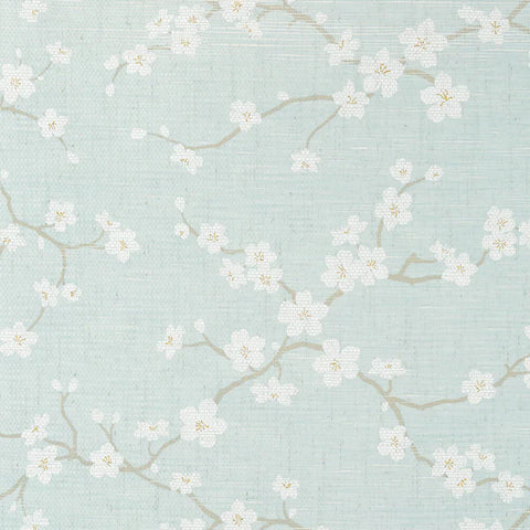 T75516 Sakura Aqua Wallpaper