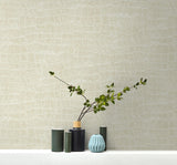 TA20505 Curacao Beige Wallpaper