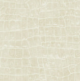 TA20505 Curacao Beige Wallpaper