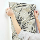 TC2604 Tropical Paradise Neutrals Taupe Wallpaper 