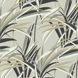 TC2604 Tropical Paradise Neutrals Taupe Wallpaper 