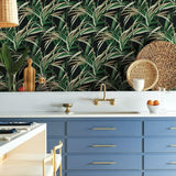 TC2606 Tropical Paradise Green Black Wallpaper 