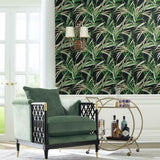 TC2606 Tropical Paradise Green Black Wallpaper 