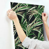 TC2606 Tropical Paradise Green Black Wallpaper 