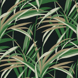 TC2606 Tropical Paradise Green Black Wallpaper 