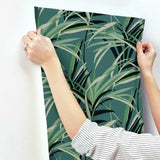 TC2607 Tropical Paradise Green Dark Teal Wallpaper