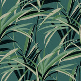 TC2607 Tropical Paradise Green Dark Teal Wallpaper