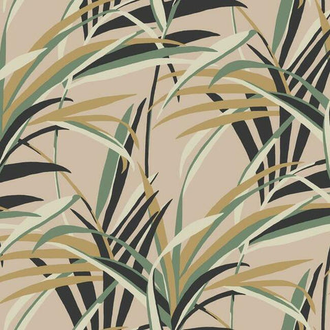 TC2608 Tropical Paradise Blush Wallpaper