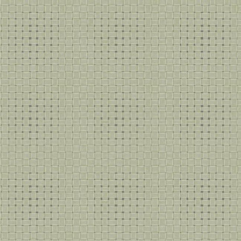 TC2613 Paradise Island Weave Green Wallpaper