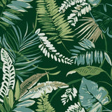 TC2621 Tropical Toss Wallpaper