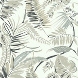 TC2622 Tropical Toss Wallpaper