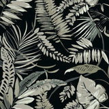 TC2625 Tropical Toss Wallpaper