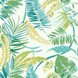 TC2626 Tropical Toss Wallpaper