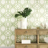 TC2631 Sawgrass Trellis Green Wallpaper