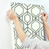 TC2632 Sawgrass Trellis White Grey Wallpaper