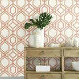 TC2636 Sawgrass Trellis Coral Wallpaper