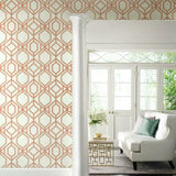 TC2636 Sawgrass Trellis Coral Wallpaper