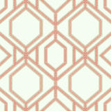 TC2636 Sawgrass Trellis Coral Wallpaper