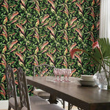 TC2651 Tropical Love Birds Black Wallpaper