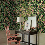 TC2651 Tropical Love Birds Black Wallpaper