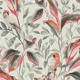 TC2652 Tropical Love Birds Gray Wallpaper